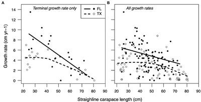 Dietary plasticity linked to divergent growth trajectories in a critically endangered sea turtle